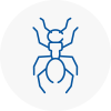 Ant Removals In Horsforth