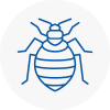 Bed Bug Extermination In Horsforth