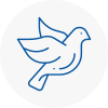 Bird Prevention Horsforth