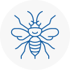 Horsforth Hornet Nest Removals