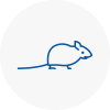 Mice Exterminators In Horsforth