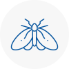 Moth Control Specialists In Horsforth