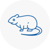 Rat Control Horsforth