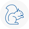 Horsforth Rodent Removals